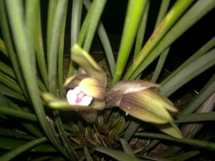 ������-2.10 (3).jpg