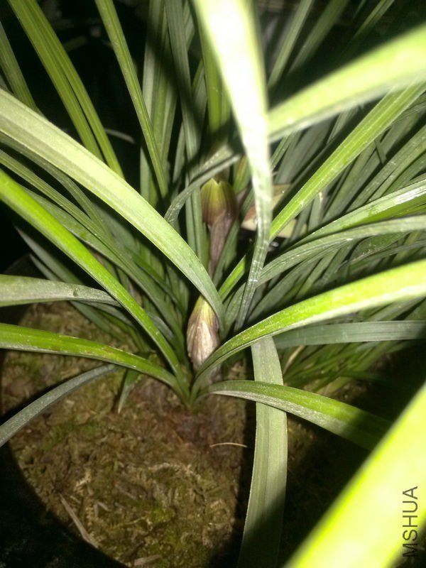 ������-2.10 (4).jpg