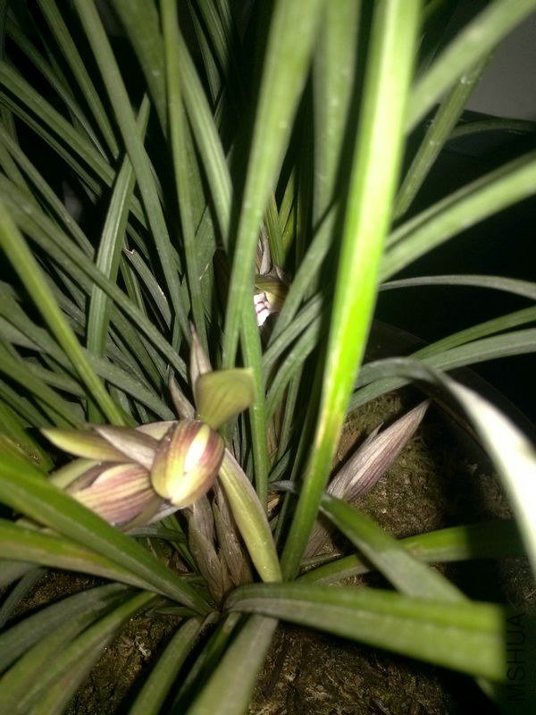 ������-2.10 (5).jpg