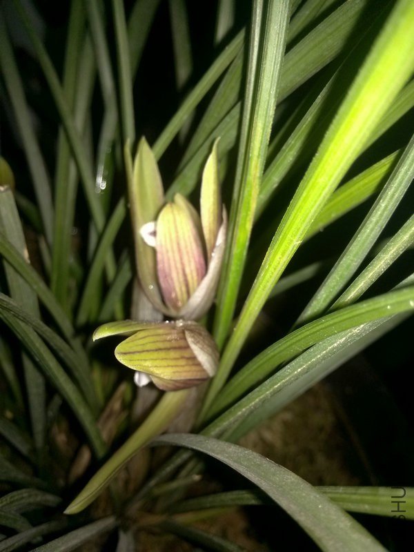 ������-2.10 (6).jpg