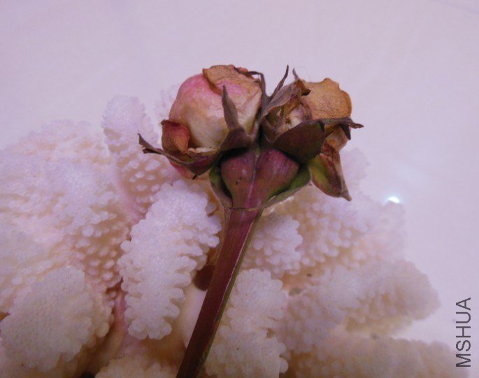 QQ��ͼ20130210213622.jpg