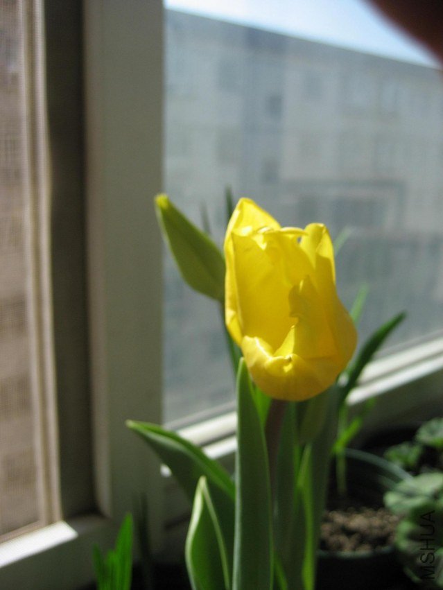 IMG_4538.JPG