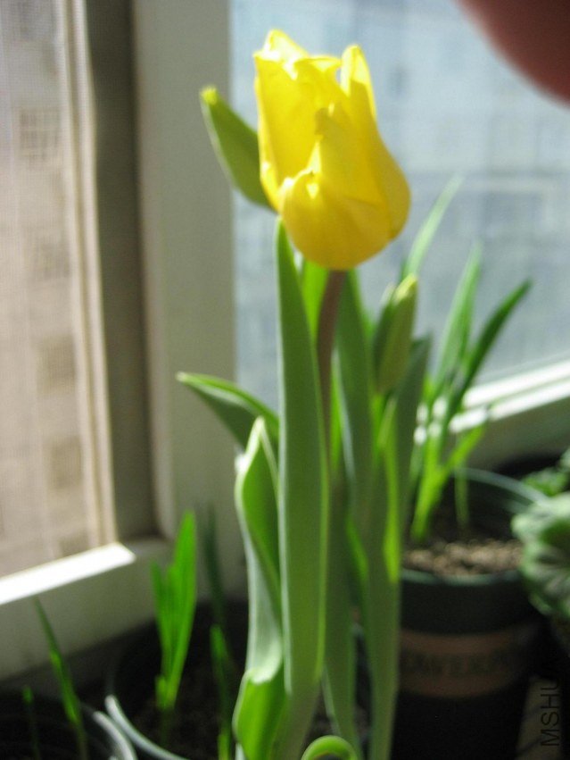 IMG_4539.JPG