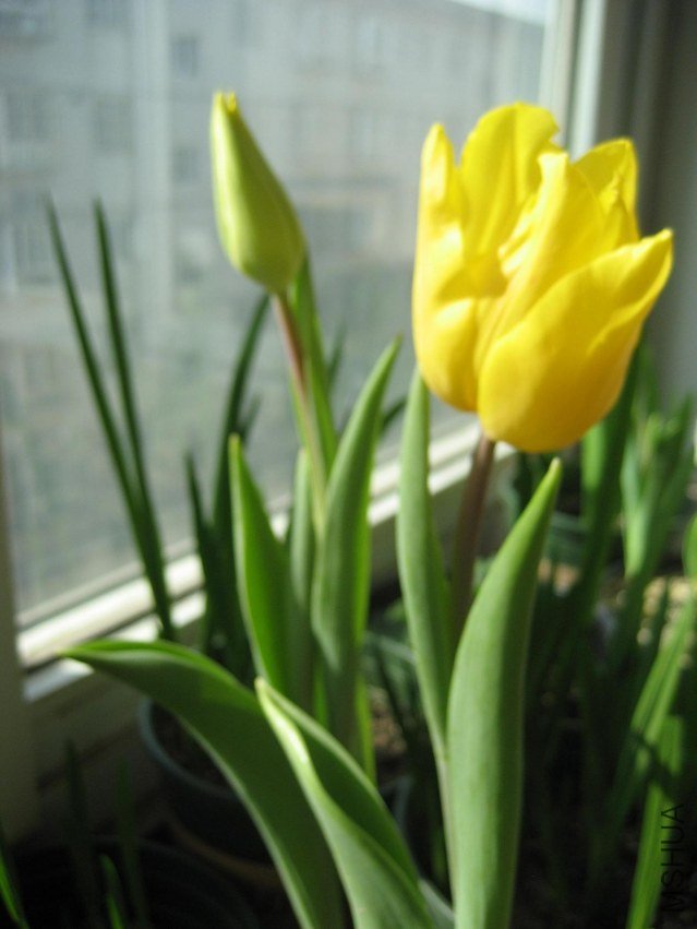 IMG_4544.JPG