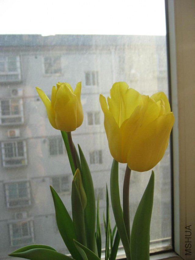 IMG_4558.JPG
