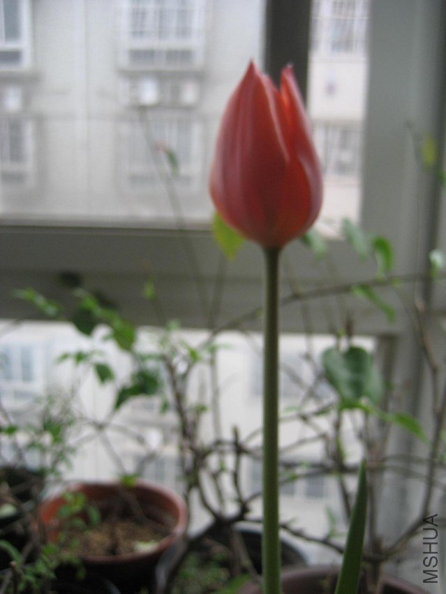 IMG_4608.JPG