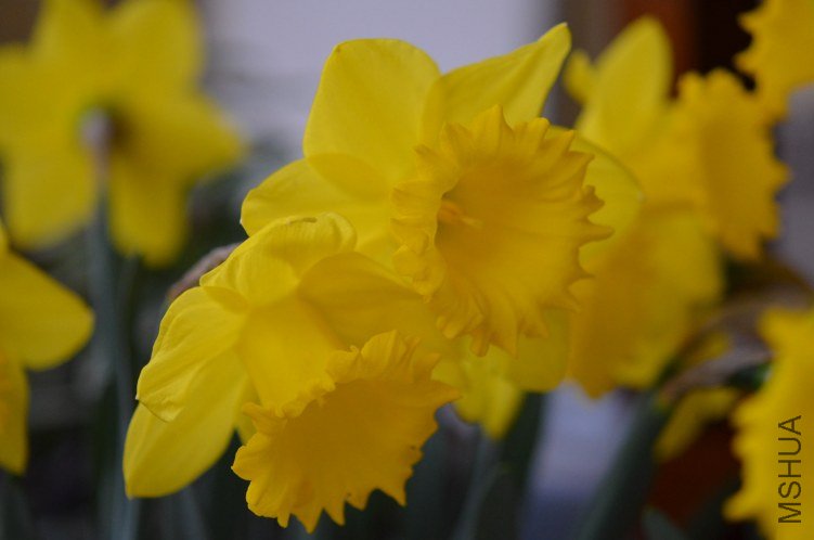 DSC_0200.JPG