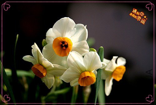 ��Ƭ 0023_����.jpg