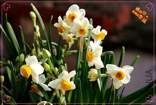 ��Ƭ 018_����.jpg