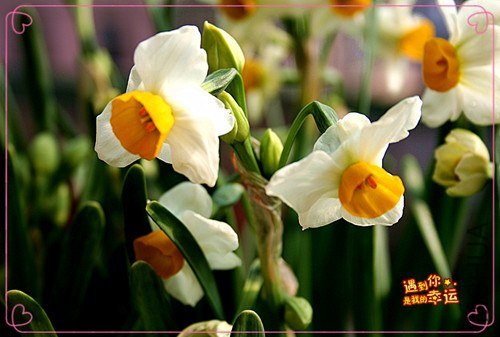 ��Ƭ 022_����.jpg