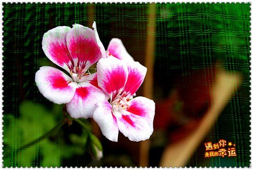 ��Ƭ 002_����.jpg