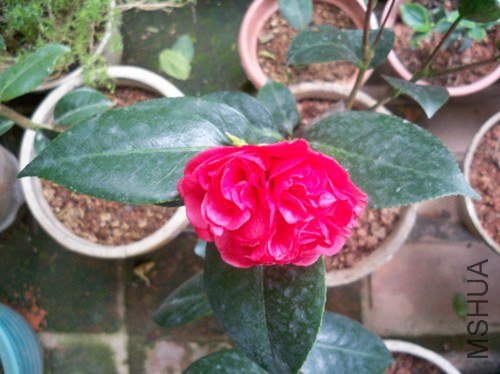 100_4817_����.jpg