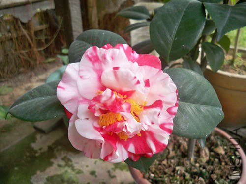 100_4823_����.jpg