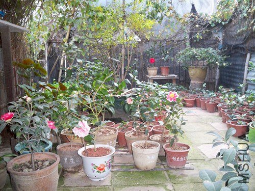 100_4860_����.jpg