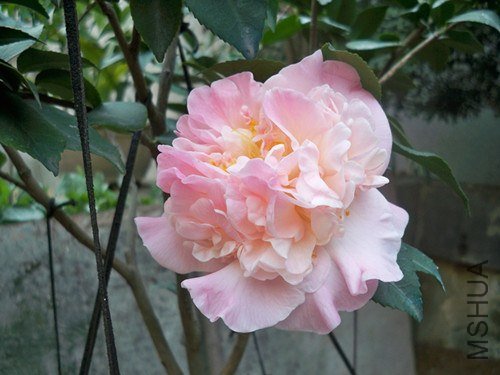 100_4909_����.jpg