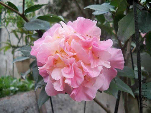 100_4945_����.jpg