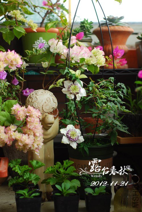 2012-11-24����.jpg