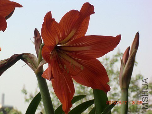 67.jpg