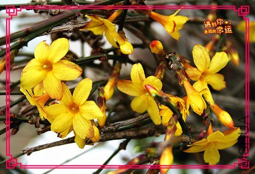 ��Ƭ 011_����.jpg