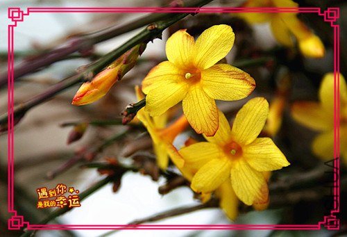 ��Ƭ 013_����.jpg