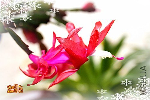 ��Ƭ 085_����.jpg