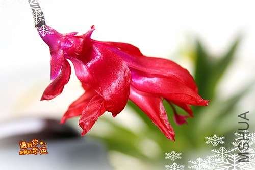 ��Ƭ 086_����.jpg