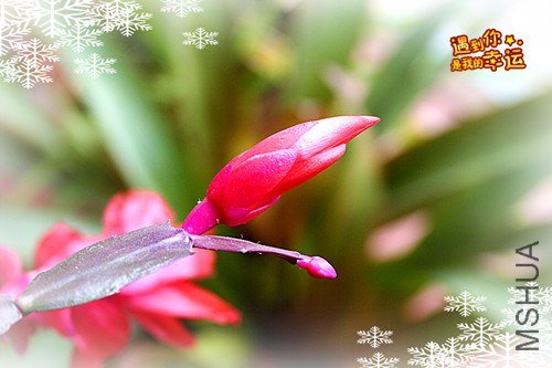 ��Ƭ 092_����.jpg