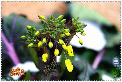 ��Ƭ 010_����.jpg