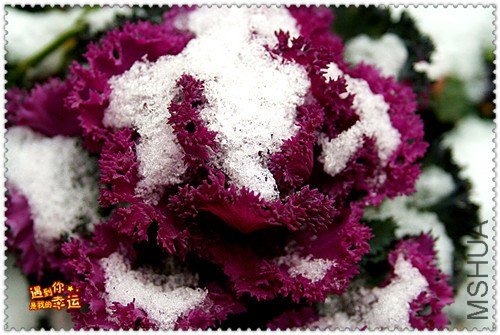 ��Ƭ 001_����.jpg