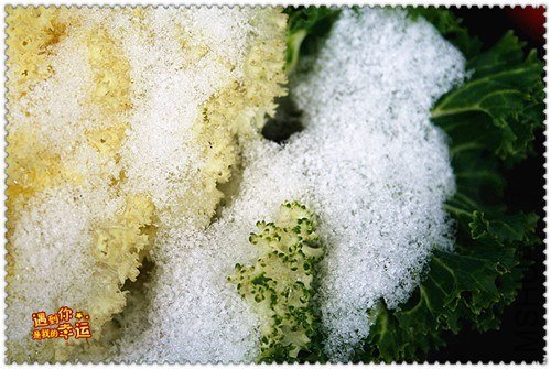 ��Ƭ 002_����.jpg