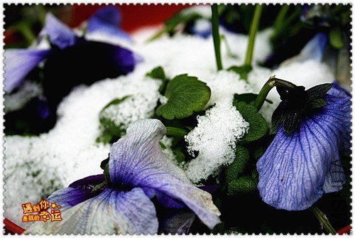 ��Ƭ 003_����.jpg