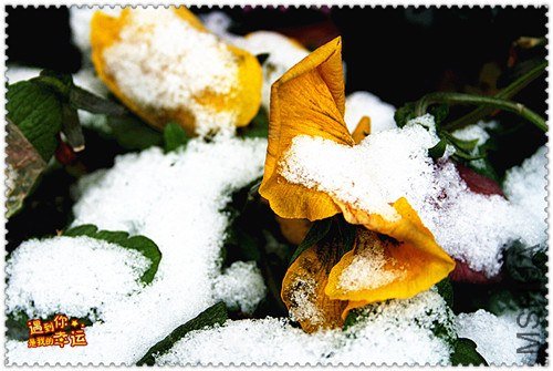 ��Ƭ 006_����.jpg