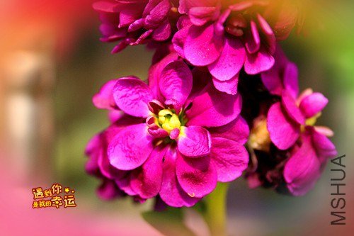 ��Ƭ 022_����.jpg