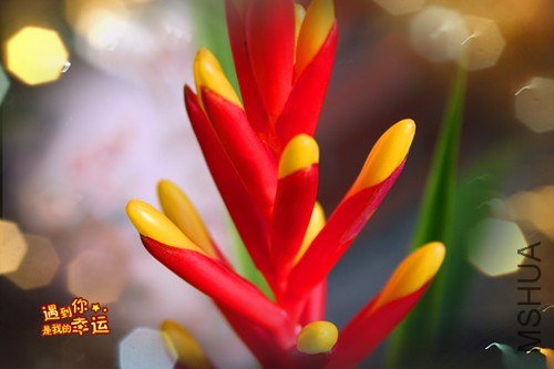 ��Ƭ 052_����.jpg