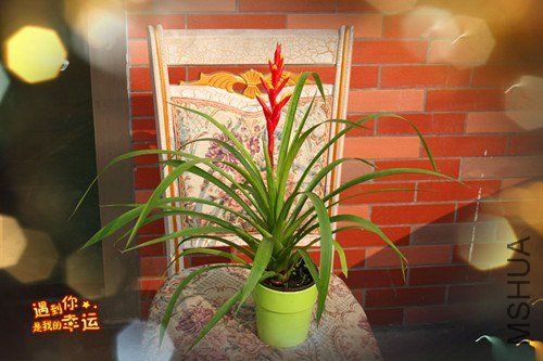 ��Ƭ 047_����.jpg