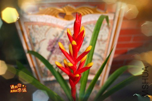 ��Ƭ 049_����.jpg