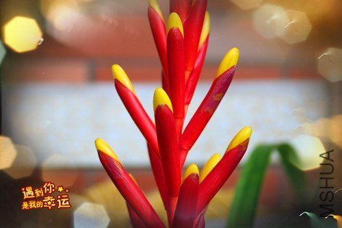 ��Ƭ 050_����.jpg