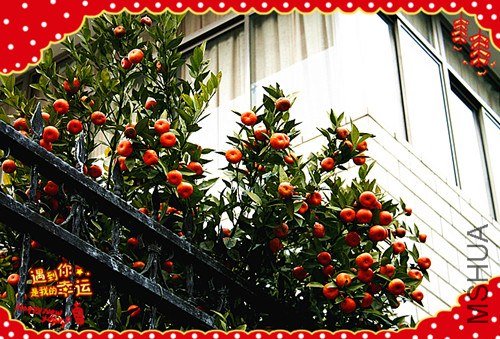 ��Ƭ 107_����.jpg