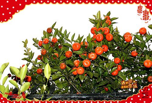 ��Ƭ 105_����.jpg