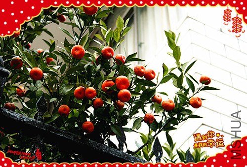 ��Ƭ 106_����.jpg