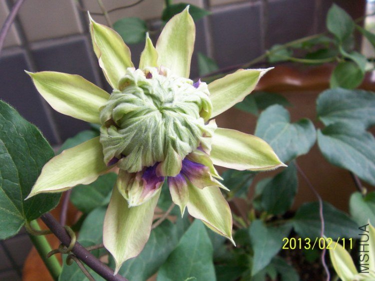 100_7784.JPG