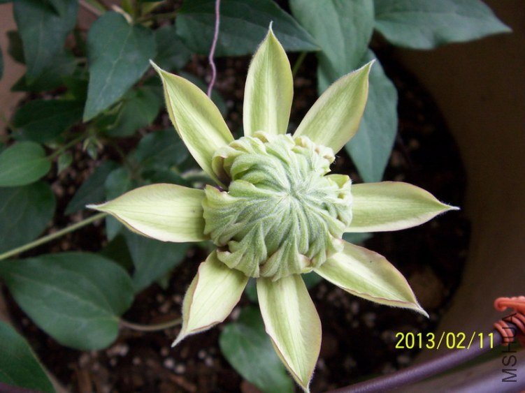 100_7785.JPG