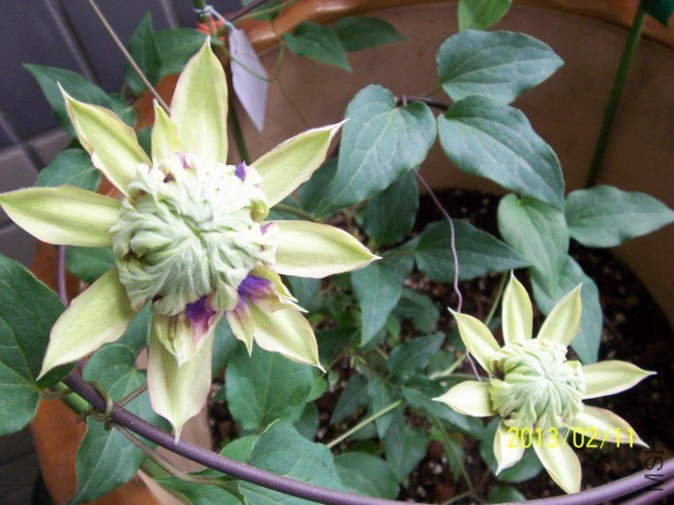 100_7786.JPG