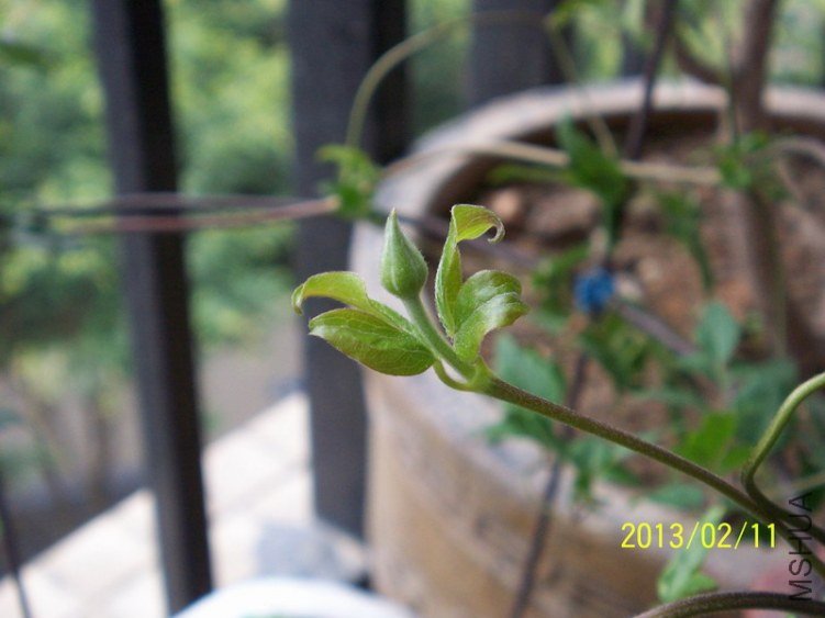 100_7794.JPG