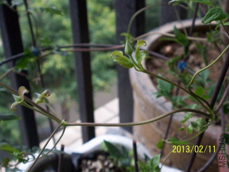 100_7795.JPG