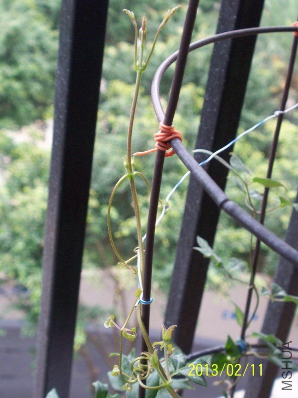 100_7796.JPG