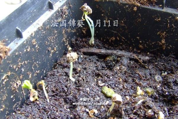 ��������ma 2013-0209(102).jpg