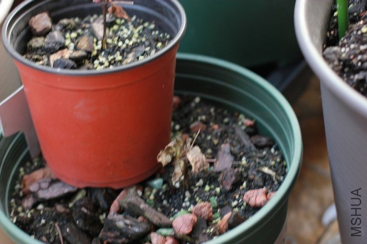 ���� ���=����.jpg