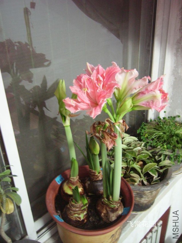pict2325.jpg