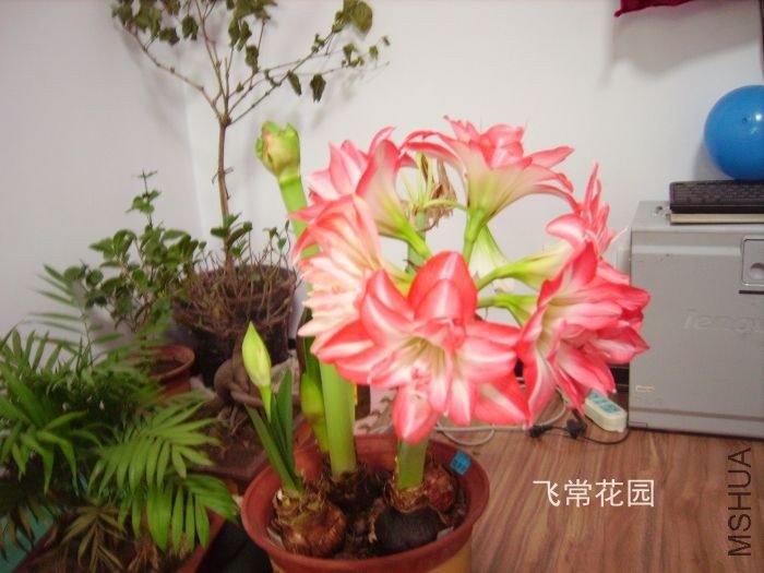 pict2346.jpg